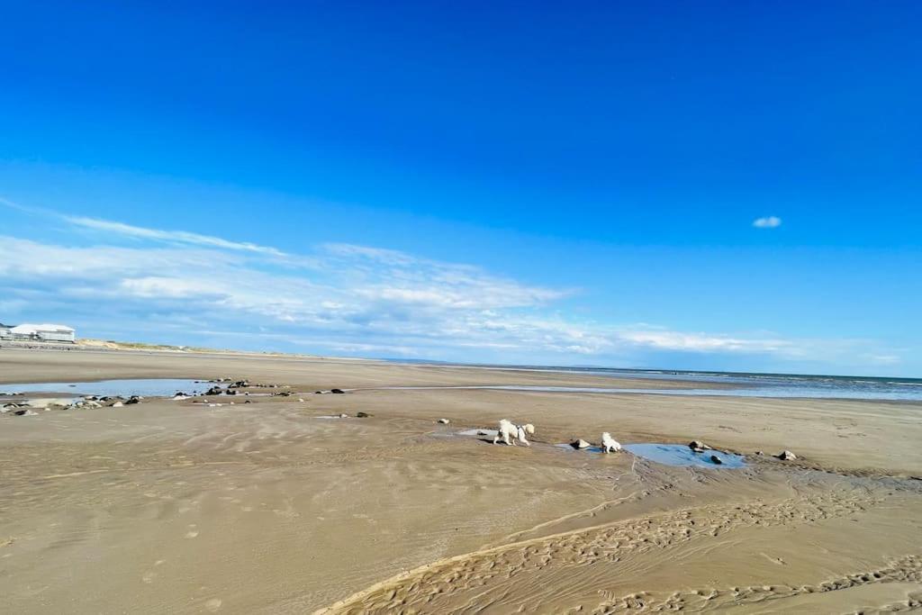 2 Bedroom Holiday Home In The Heart Of West Wales St Clears Exteriér fotografie